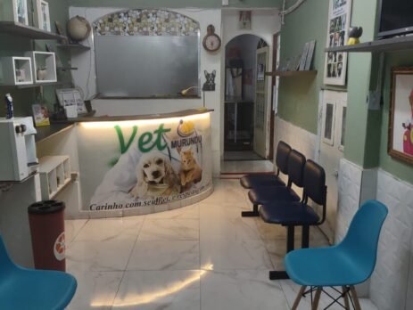 Clínica veterinária Vet Murundu