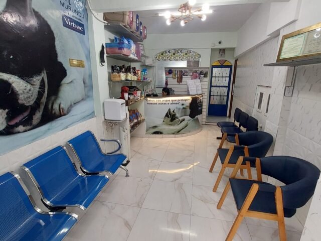 Recepção da Clínica Veterinária VetMurundu